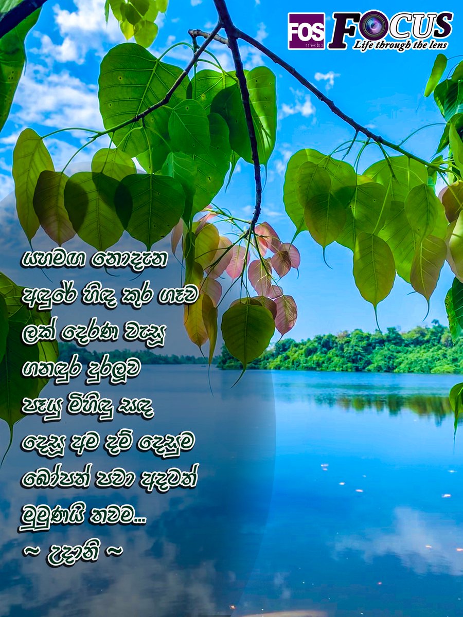 FOSMediaR's tweet photo. පෑයු මිහිඳු සඳ...

By - Udani Anupama
CC - Gayanika Jayarathne

#FOSFocus_102 #LifeThroughTheLens #FOS_UOC #FOSMedia #PosonPoya #Poson #Poson2020 https://t.co/FmYHgXIVyA