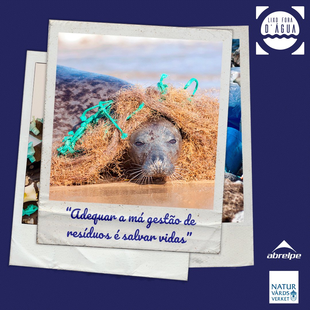 Abrelpe's tweet photo. #DiaDoMeioAmbiente♻️
Melhorar a gestão de resíduos é proteger o meio ambiente.
Hoje tem Live sobre Prevenção e Combate ao Lixo No Mar🌊 às 14h no canal do YouTube da Abrelpe 📺.
#MeioAmbiente #Sustentabilidade #Abrelpe #PelaNatureza #ForNature #WED2020 #Mar #MaresLimpos https://t.co/ZOKJsCl6z9