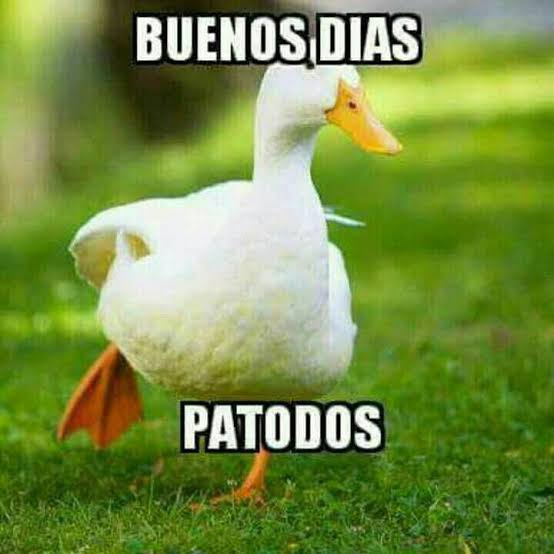 MonserratBanda3's tweet photo. Y para todas https://t.co/twmT9MsM7d