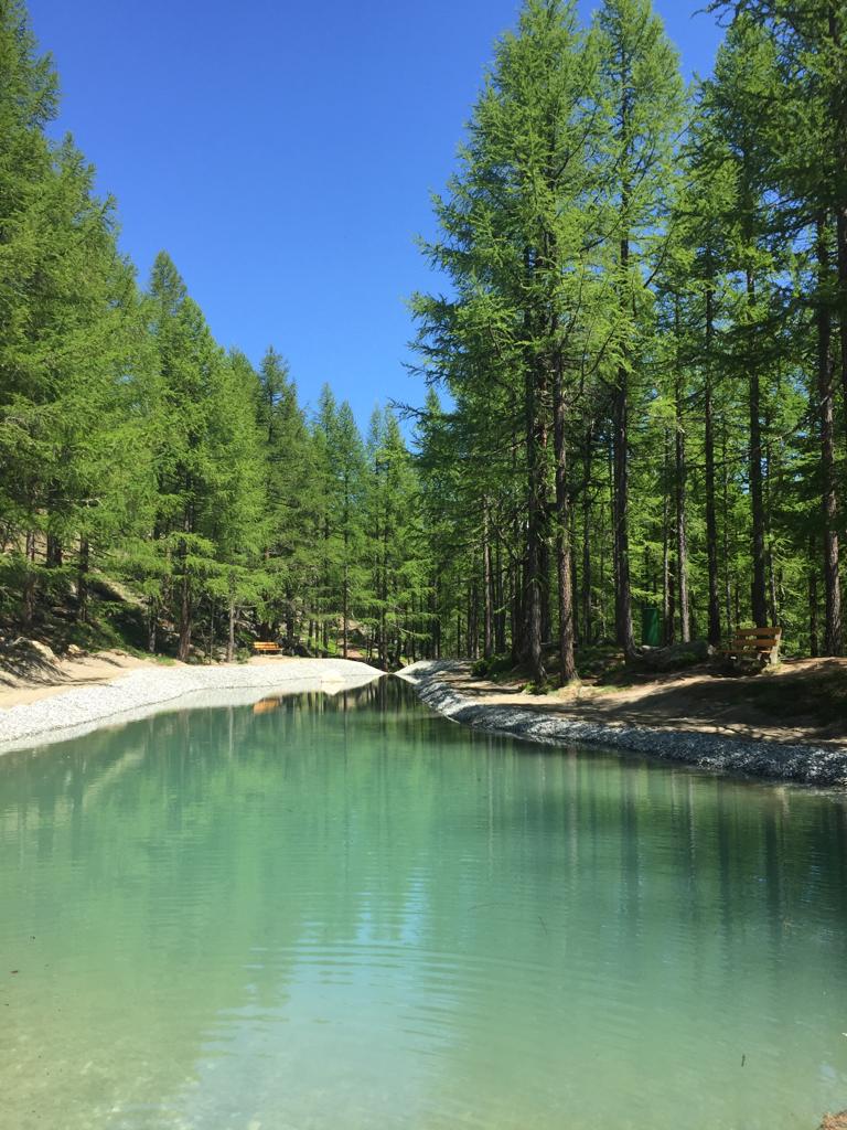 Alba-Albana (@apartmentsch) on Twitter photo 