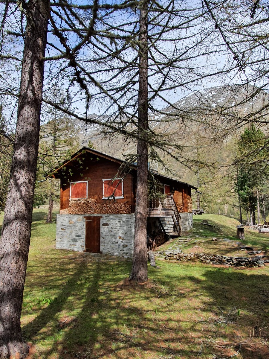 Alba-Albana (@apartmentsch) on Twitter photo 