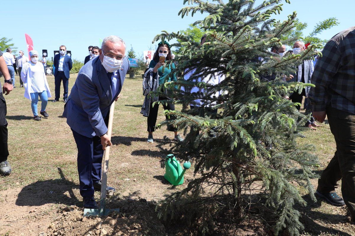 Mehmet Hilmi Güler