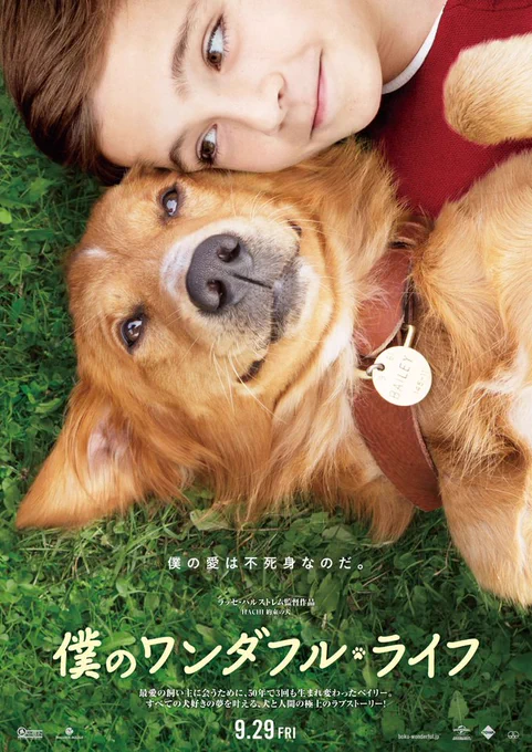 個人的に泣きたいときに見る映画4選(無理やり)

まどマギは少しひねくれてるけどなんやかんや泣いた

あとワンダフルライフとさよ朝はガチで泣きすぎて涙枯れた 