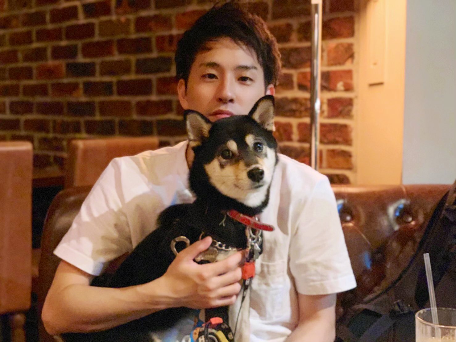 しょー 昨日の仕事終わりに 同僚と恵比寿の犬同伴okなカフェを見つけて行ってきた 店の雰囲気良いし飯も美味しいし店員さんイケメンでフレンドリーだしで最高だった T Co Qnjcn6o8az Twitter