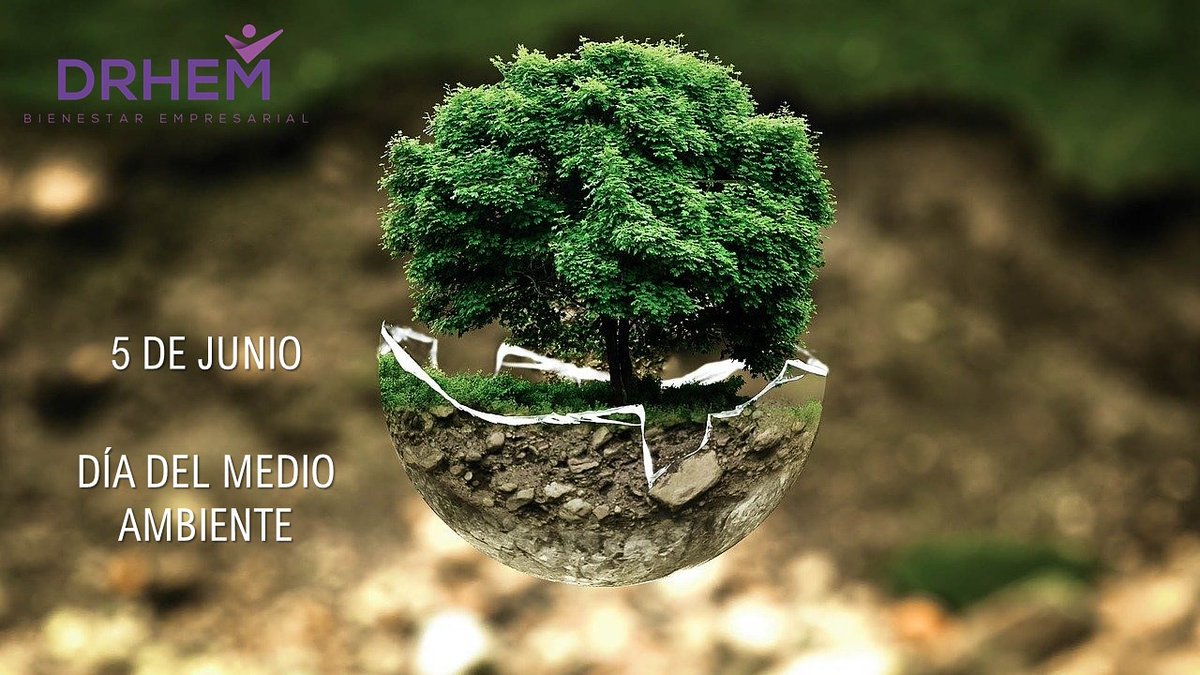 DrhemCapital's tweet photo. En cada paseo por la naturaleza, uno recibe mucho más de lo que andaba buscando. 🍃
#FelizDíadelMedioAmbiente https://t.co/IL0POsPdWn