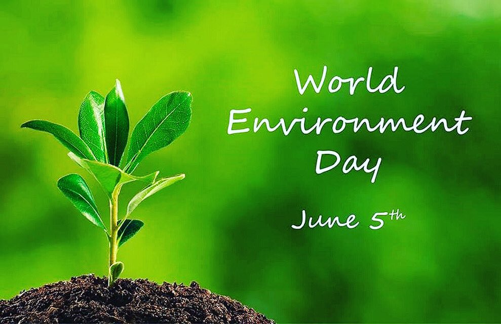 It’s World Environment Day today! Read all about it: worldenvironmentday.global #worldwnvironmentday #mothernature #nomoreplastic #lovetheearth
