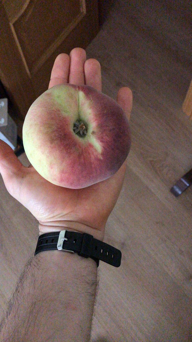 T_Kmino's tweet image. Lo mas grande que he tenido en mucho tiempo entre manos #Fruti