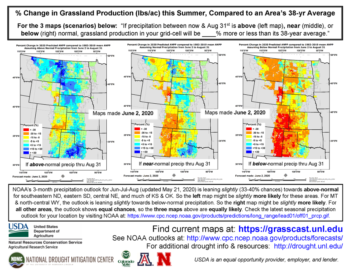 Dr. Dannele Peck tweet media