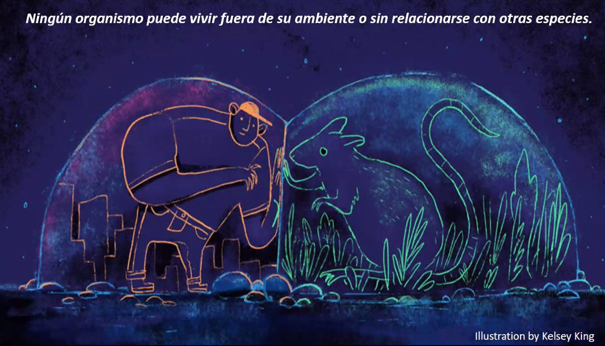 ecoscienceorg's tweet photo. "Las personas no vivimos en burbujas, somos parte de la biodiversidad, tenemos conexión con todas las especies, y eso es algo que queremos enseñar en las comunidades, a niños, niñas y adultos, la importancia de la conservación" Catherine Dougnac @WCS_Chile @conectamasfiis https://t.co/JjZjq70zP5