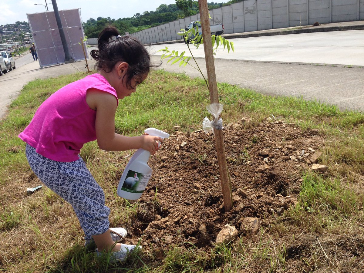 biogaiaorg's tweet photo. Durante estos tiempos en los que la pandemia ha cambiado nuestro estilo de vida, por lo que es bueno que esta nueva normalidad también esté acompañada de cambios positivos, más aún con la naturaleza y compartiendo en familia. https://t.co/Wx0RFziQ4l