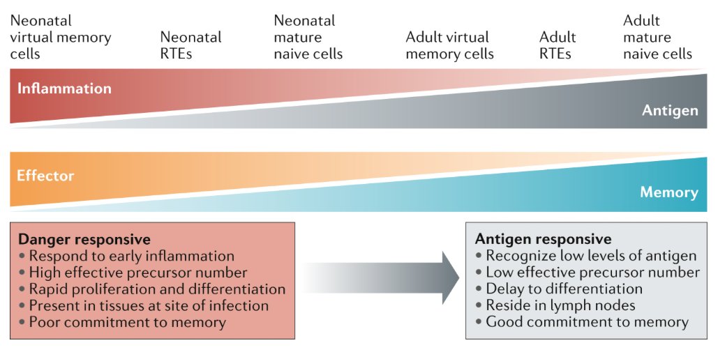 mmw_lmw's tweet photo. How #T_Cell_Development shapes #Immune_Function | Naive T cell subsets differ | Miles Davenport @UNSW @NatRevImmunol https://t.co/NDQFXS8pbo https://t.co/NunofPb2P5