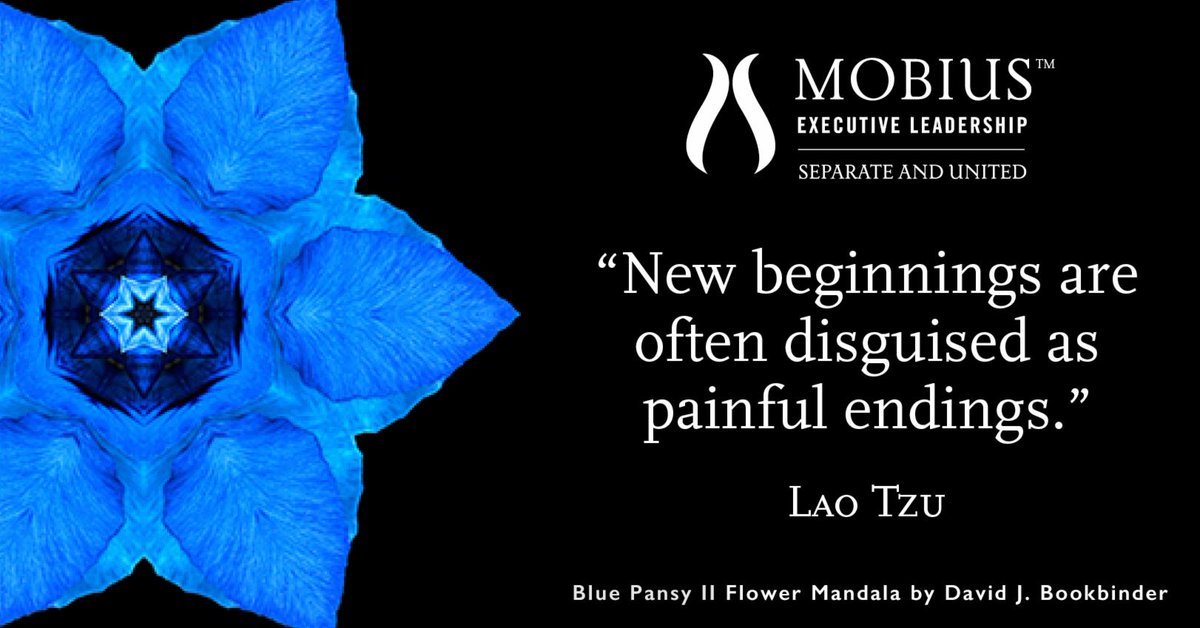 MobiusExecLeadership tweet media