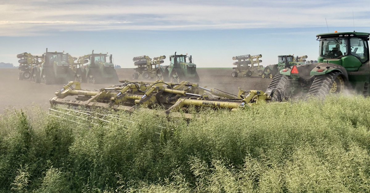 In central Illinois on June 5th ...  it is definitely “go time” for corn farmers.