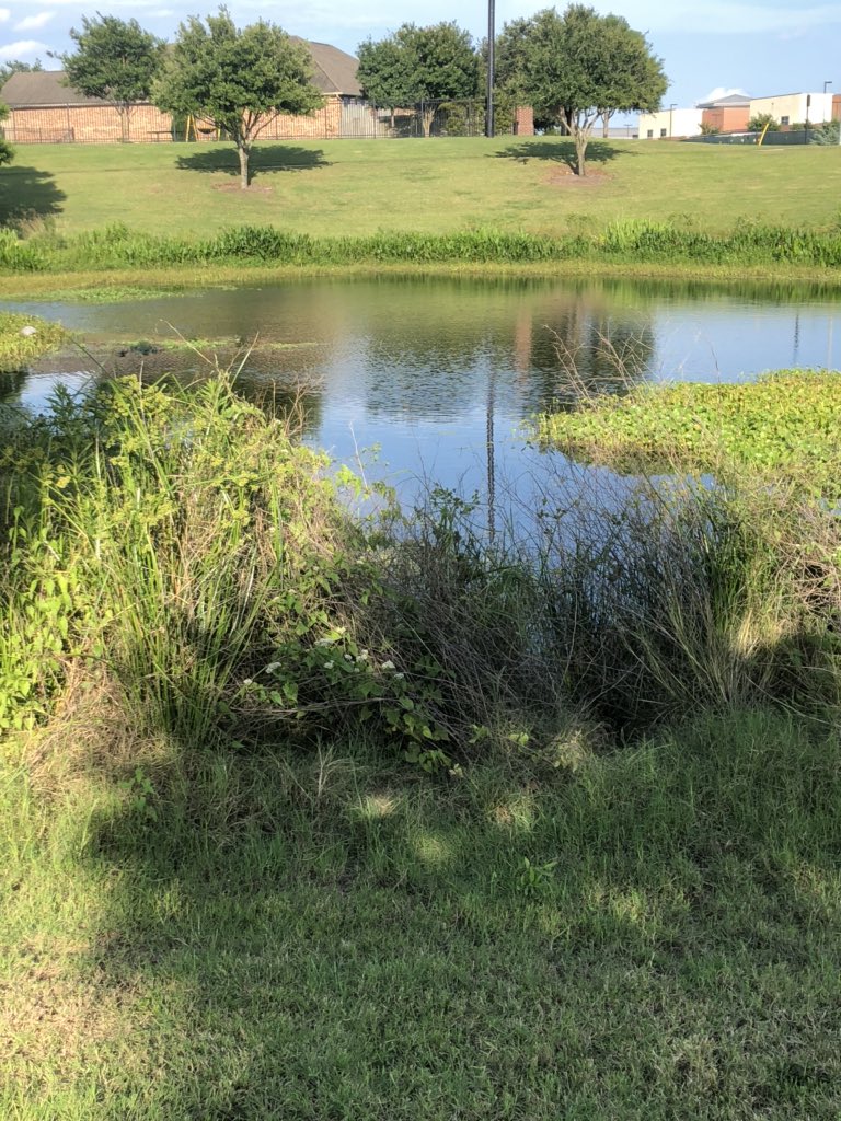 RachnaDar's tweet photo. Very beautiful scenery. Very cool place to sit and walk. #picoftheday #fridaythoughts #fridaypics #fridaymorning https://t.co/wwG9ElPnem