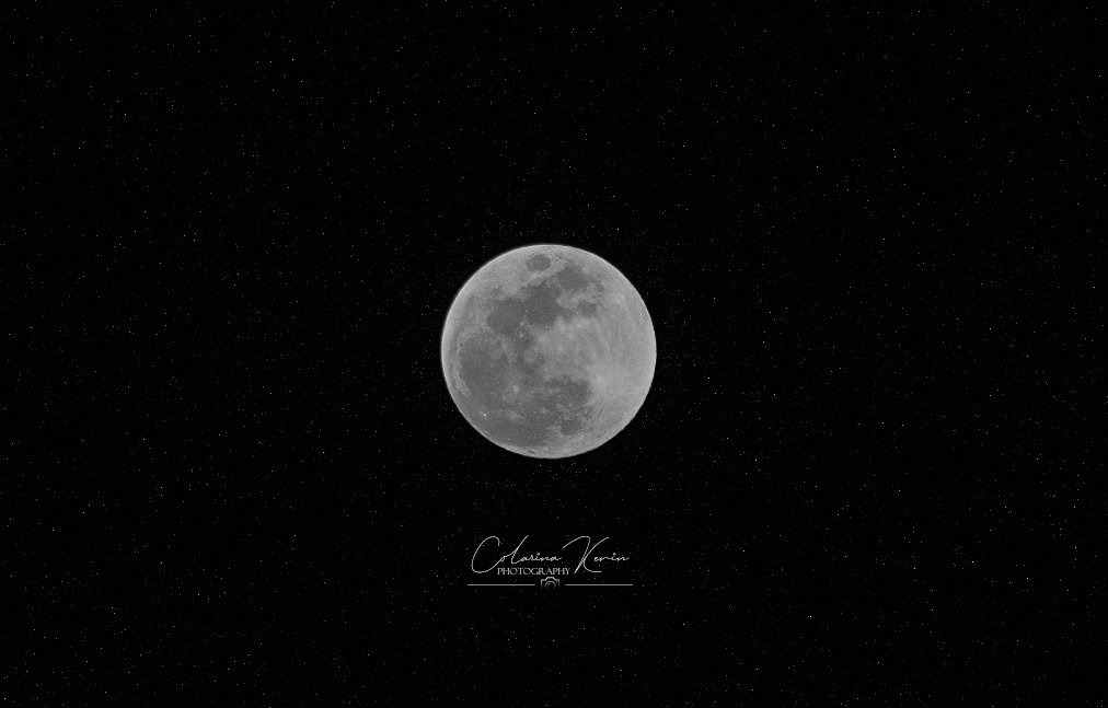 Colarinakevin's tweet photo. Everyone is a moon, and has a dark side which he never shows to anybody.
-Mark Twain

Friday | June 5, 2020 | 7:00 PM
*Enhanced Photo*
ISO: 500
f: 11
SS: 1/1600
Nikon | TAMRON | 300mm https://t.co/HoL5ZaQ27Z
