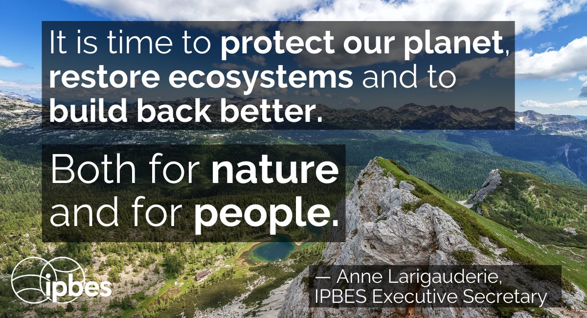 For #WorldEnvironmentDay, <a href="/UNEP/">UN Environment Programme</a> invites us all to support the call that it is time #ForNature

"I encourage everyone to place greater priority on #biodiversity in every aspect of our lives"

<a href="/IPBES/">ipbes</a> ExecSec Anne Larigauderie statement ⤵️
ipbes.net/statement-worl…