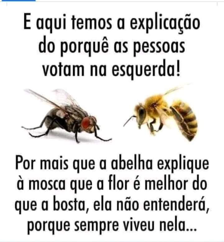 astor_noe's tweet photo. @BolsonaroSP @jdoriajr @brunocovas https://t.co/H3XMvFpCef