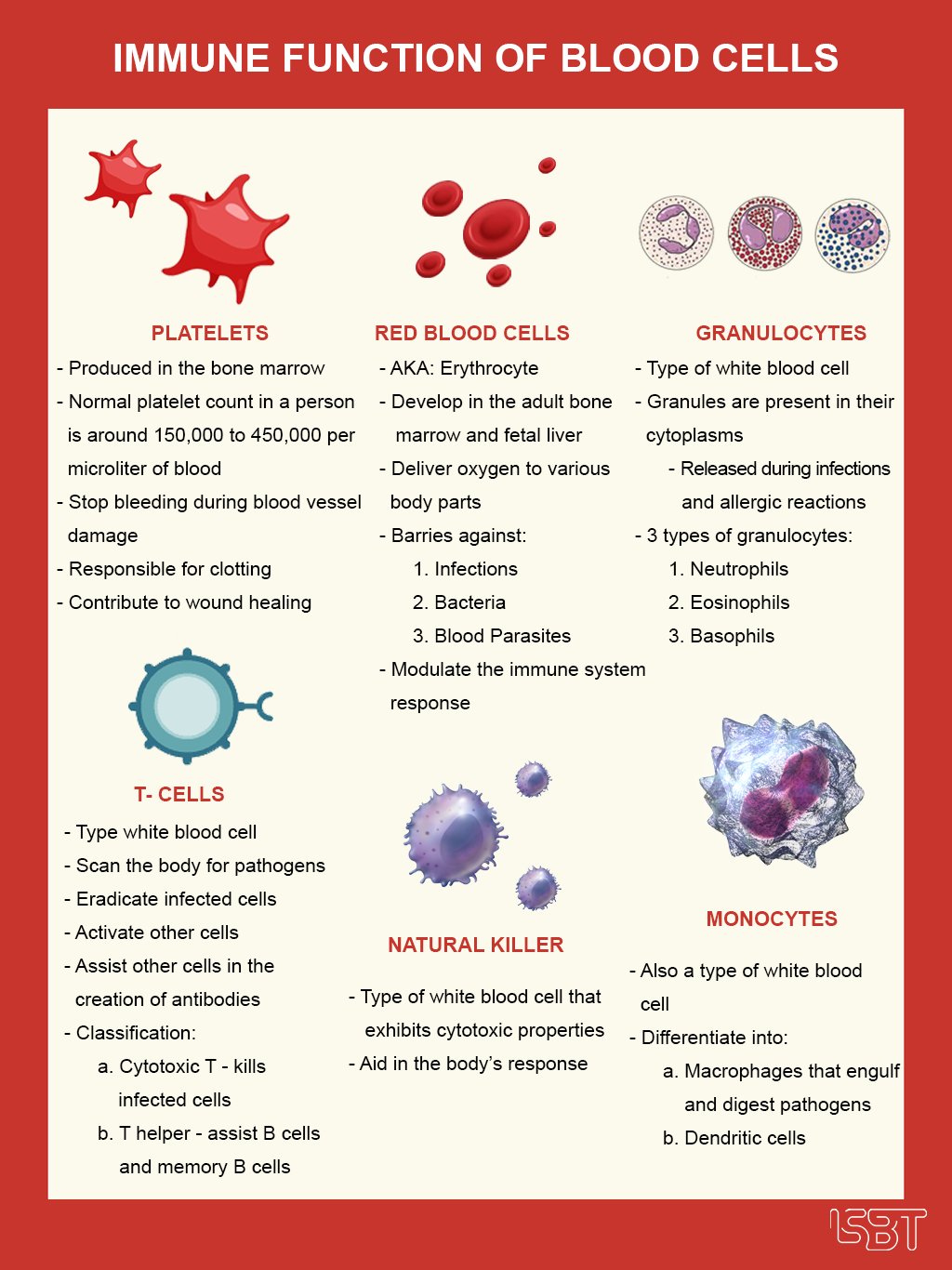 White Blood Cell Chart white-blood-cell-chart