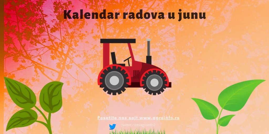 AGROINFORS's tweet photo. Jun je, po pravilu, topliji i sunčaniji od maja,junske kiše ne traba da nas iznenađuju iako je najispravnije jun smatrati prelaznim periodom između proleća i leta ali u pojedinim dielovima Srbije i najkišovitiji u godini.
👇
https://t.co/U5oZhx2m1c https://t.co/x8Z1QAdNHy