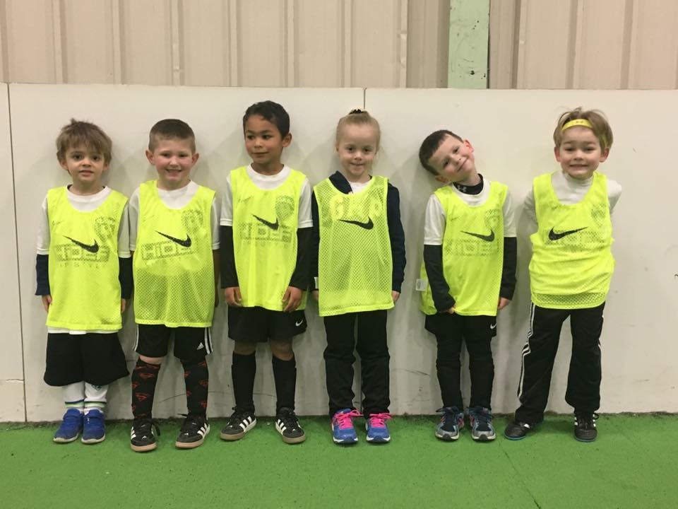 QuaranTeam:  U5 Blue Sharks in 2017