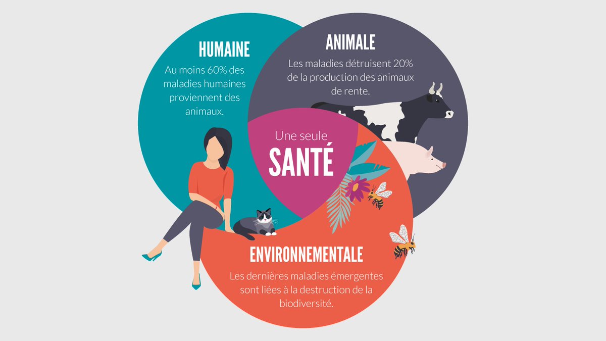 OrdreVet_France's tweet image. En cette #JournéeMondialeDelEnvironnement, rappelons que le vétérinaire n'est pas que le médecin des animaux, il est au cœur de la biodiversité. Le vétérinaire est une sentinelle au carrefour du vivant.  #WorldEnvironmentDay2020 #VétérinairePourLaPlanète
