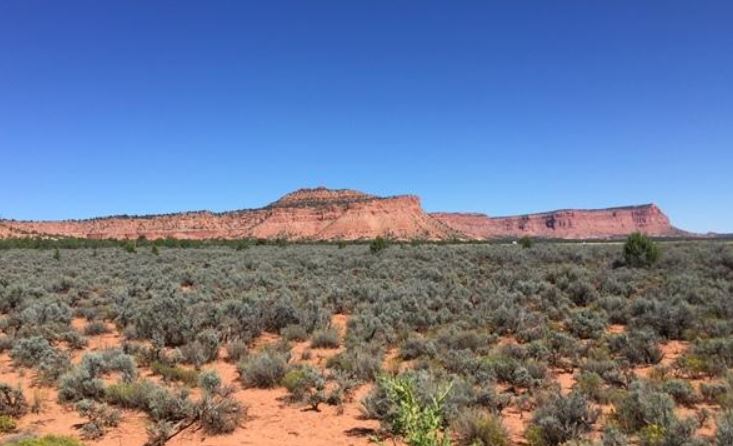🔔 Property auction alert! GSAAuctions.gov has 11.247 acres of land for sale in Kanab, UT. 

Bidding starts at just $5,000! Bid online now: go.usa.gov/xwB8u