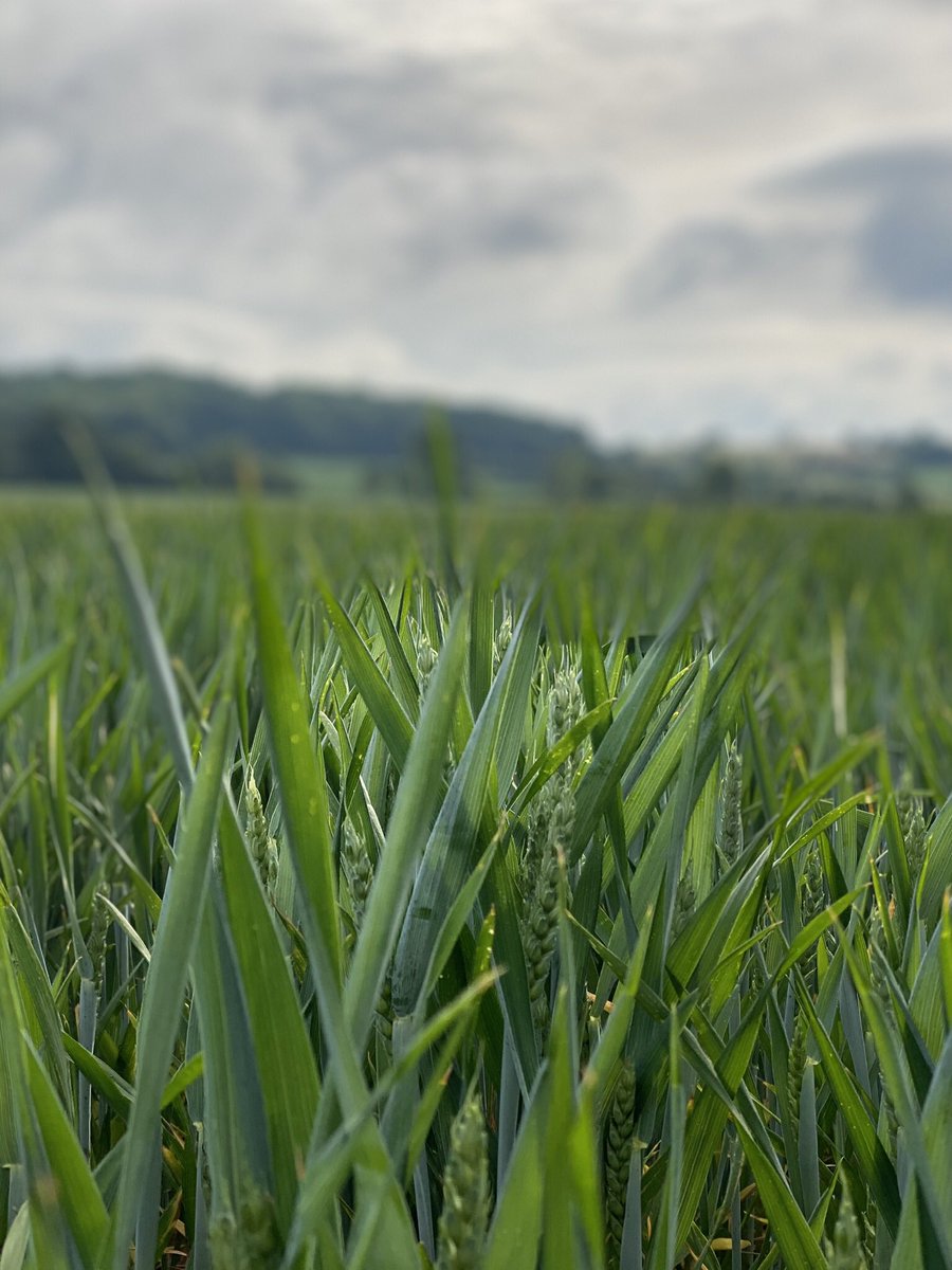 Raining not raining. Sunny not sunny #FullMoon