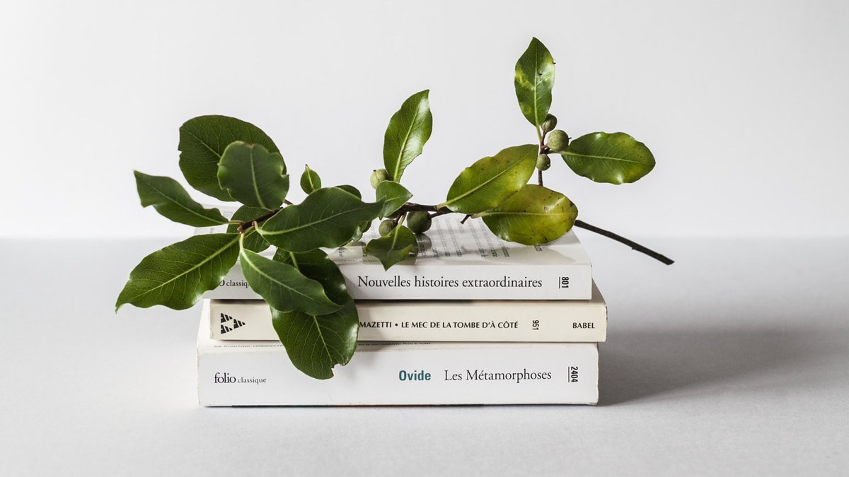relief_mag's tweet photo. 📚Soutenir vos librairies indépendantes en faisant un pied de nez à Amazon, ça vous dit ? 

👉RDV sur le site de Relief Mag pour découvrir comment faire ! https://t.co/koEMP5nU9n

#amazon #libraire #librairie #soutenonsnoscommerces #lavidalocale #local #solidaire #proximité #lire https://t.co/TCE1DQHpXw