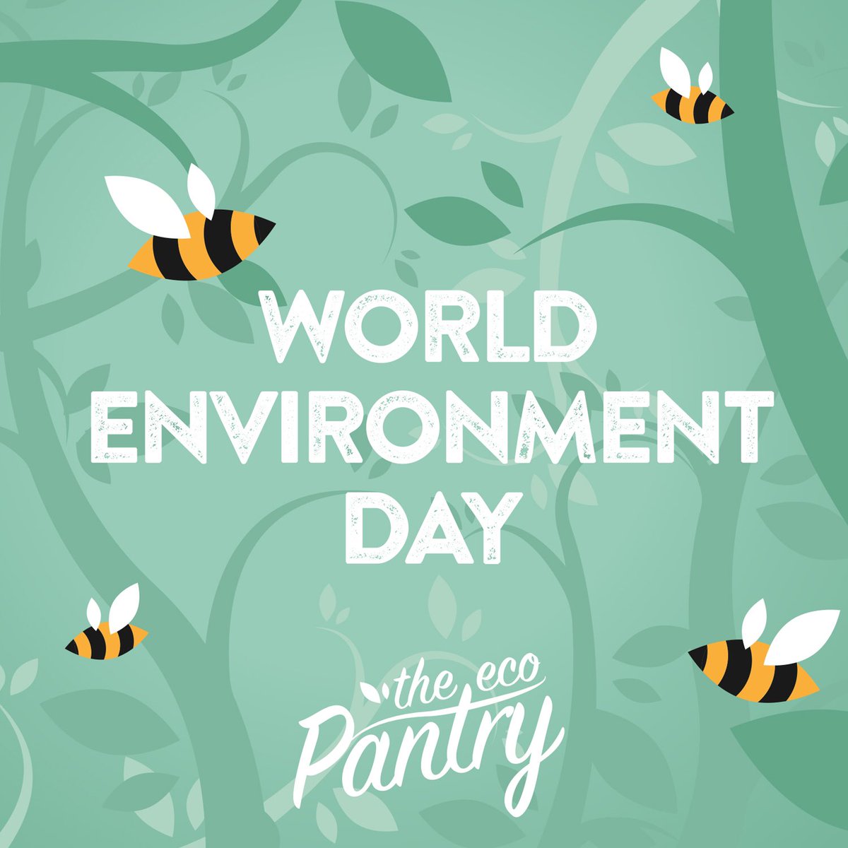 Happy #WorldEnvironmentDay 💚🐝🌍

We do our best every year by planting as many flowers as possible at home. Need to keep the bees happy!

#zerowaste #ecofriendly #reuse #refill #passonplastic #zerowasteuk #packagefree #plasticfree #plasticfreeshopping #kent #kentplasticfree