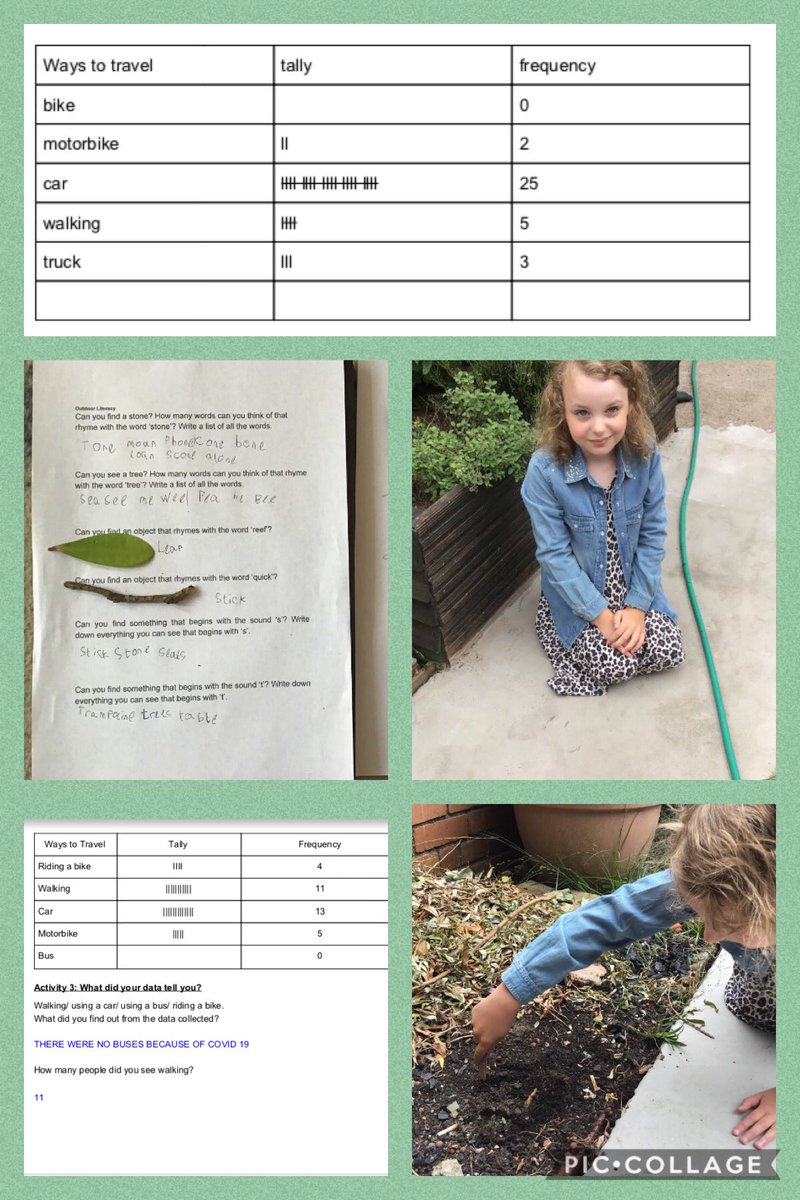 Y3GUPS's tweet photo. Great home learning this week exploring what is in our environment. #GUPSLLC #GUPSMN @EcoSchoolsWales https://t.co/FaXsnGkFmN