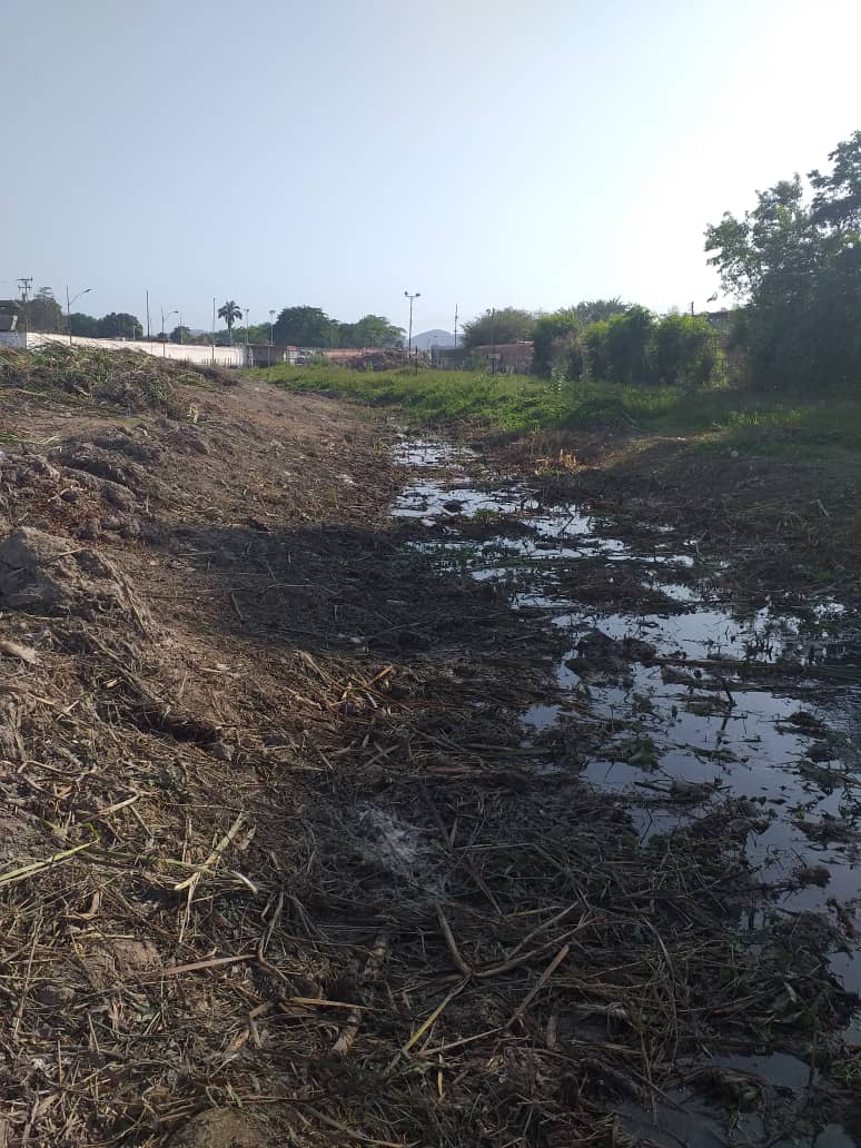 Herminia_kayapa's tweet photo. ¡Mantendremos la limpieza de drenajes ante las lluvias!
Continuamos los operativos de saneamientos de canales y drenajes a través de la Corporación de Servicios Ambientales de Sotillo (Coservas),en la Franja de Seguridad de la calle Montes, Valdez y Flores de Tierra Adentro. https://t.co/hjMcdx1M6H