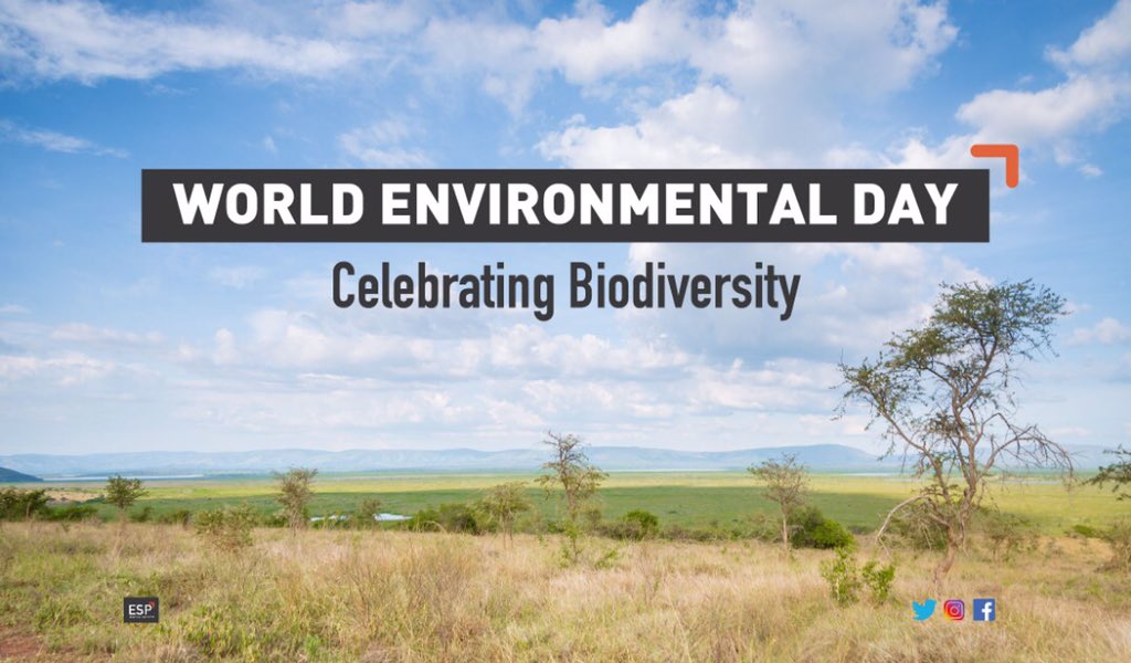 es_partners's tweet photo. World Environment Day Tourism Inc powered by ESP supports and helps scale the next generation of innovators in Tourism and Hospitality. More than any other industry, Tourism depends on the environment. #WorldEnvironmentDay #espartners https://t.co/WOyFzYyMjt