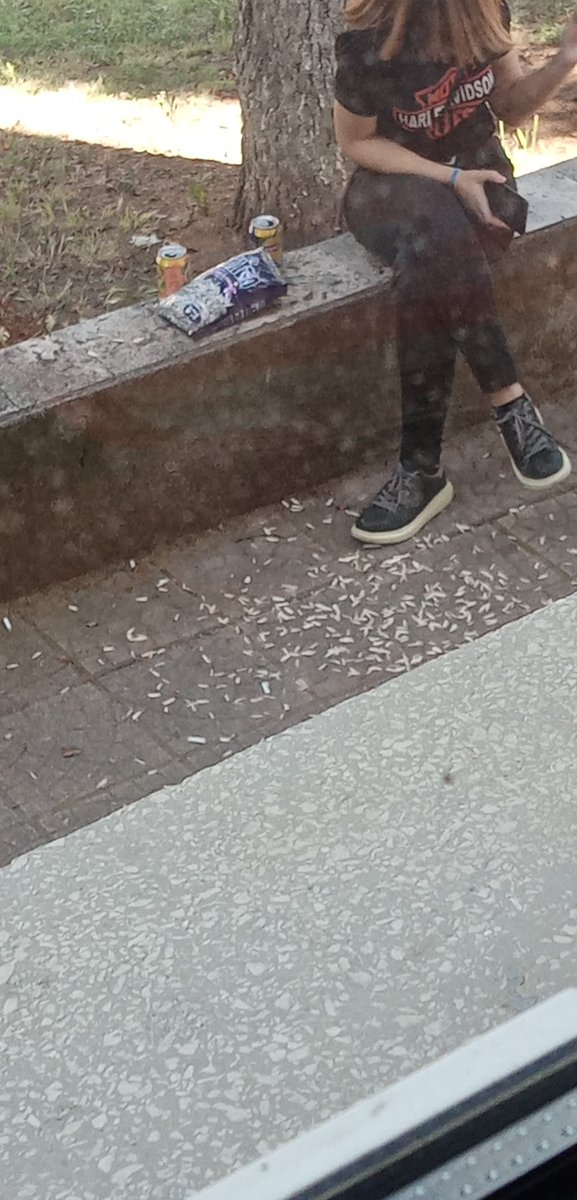 Siz eğitilmezsiniz.