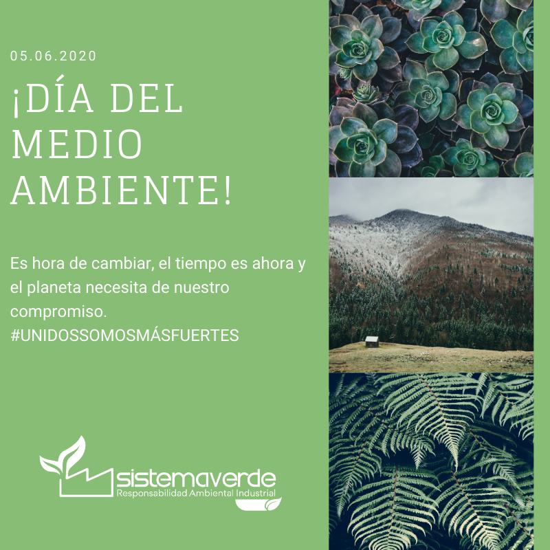 Sistema Verde tweet media