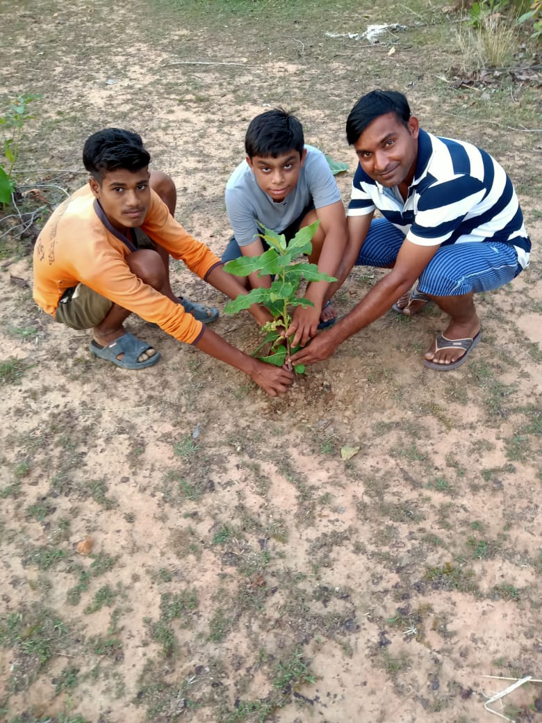 CSCBhandara's tweet photo. BHANDARA csc Academy vle participating Environment Day https://t.co/aetUDzVdZJ