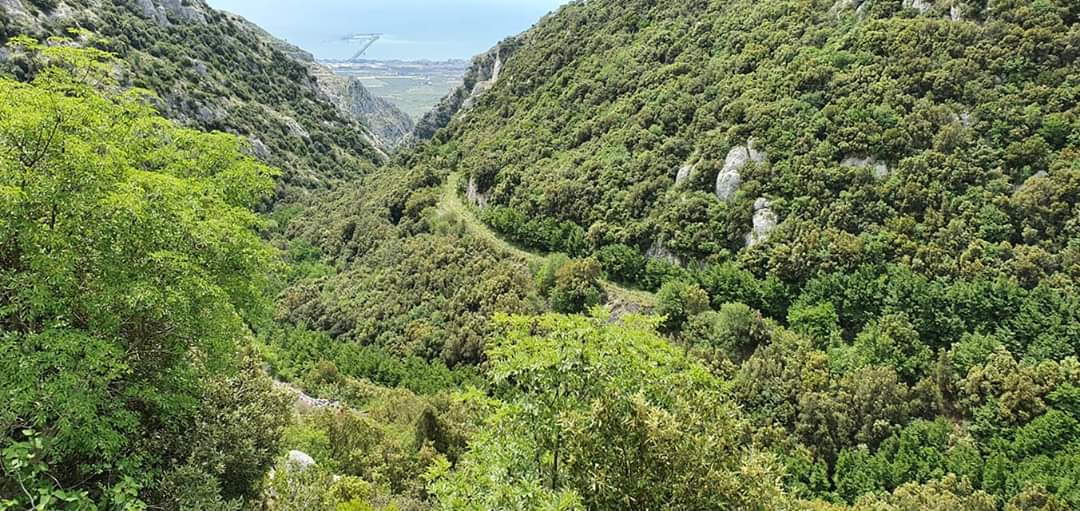 Parco del Gargano tweet media