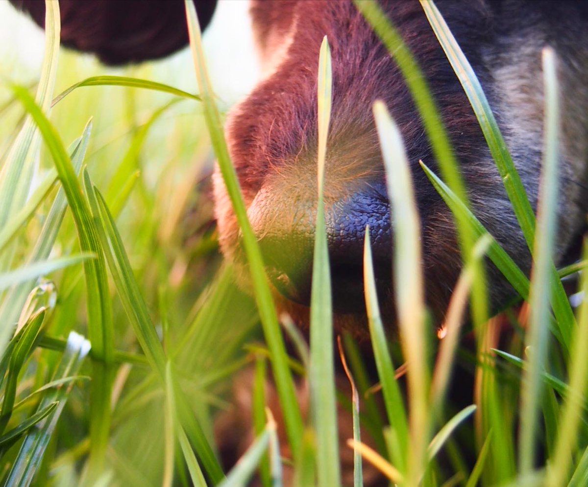 MARKENZOO tweet media