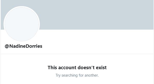 Hi ho silver lining... @NadineDorries account has vanished. Twitter is a nicer place already