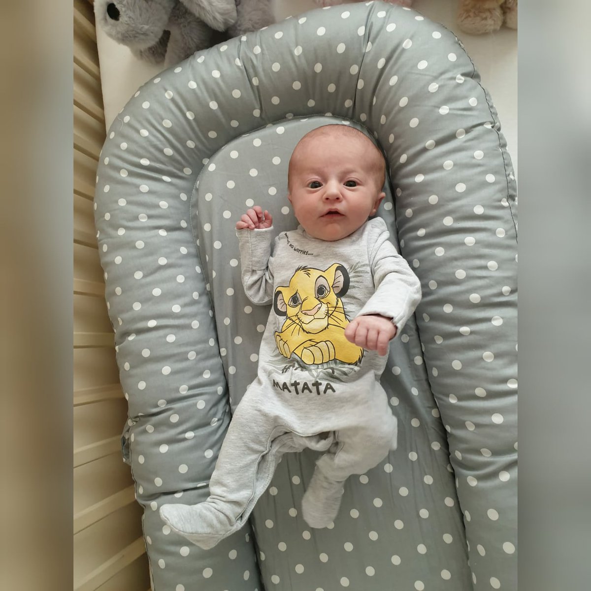 sterose87's tweet photo. 🥰🥰🥰 #daddysgirl #daddyslittlegirl #daddydaughter #littleangel #babygirl #sleepingbaby #sleepy #cute #newborn #unconditionallove #baby #cutie #tinybaby #threeweeksold #simba #lionking #hakunamatata #smallbab https://t.co/L1FQEtgFQS