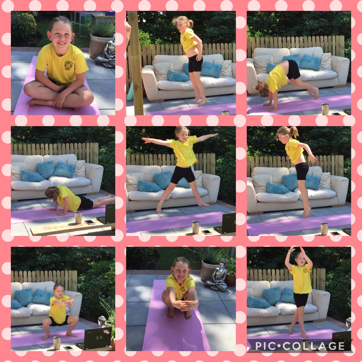 yogastarrr's tweet photo. @MrSHowe3 #her6 TulaStarr #llyscadog https://t.co/tNainmoPYT
