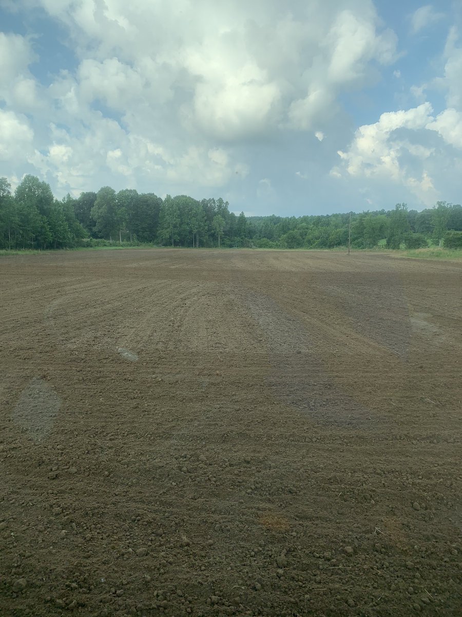 zachyow's tweet photo. Another beautiful morning in Tishomingo County! Thankful to be able to do what I love. Good Lord willing we will get more seed in the ground today. #supportag #beef https://t.co/KVLSaoVKXh