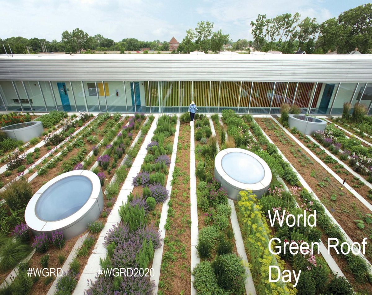 We'd like to recognize a few of our favorite projects in advance of tomorrow's World Green Roof Day!

#WGRD2020 #WGRD #worldgreenroofs #greenroofs #greenroof