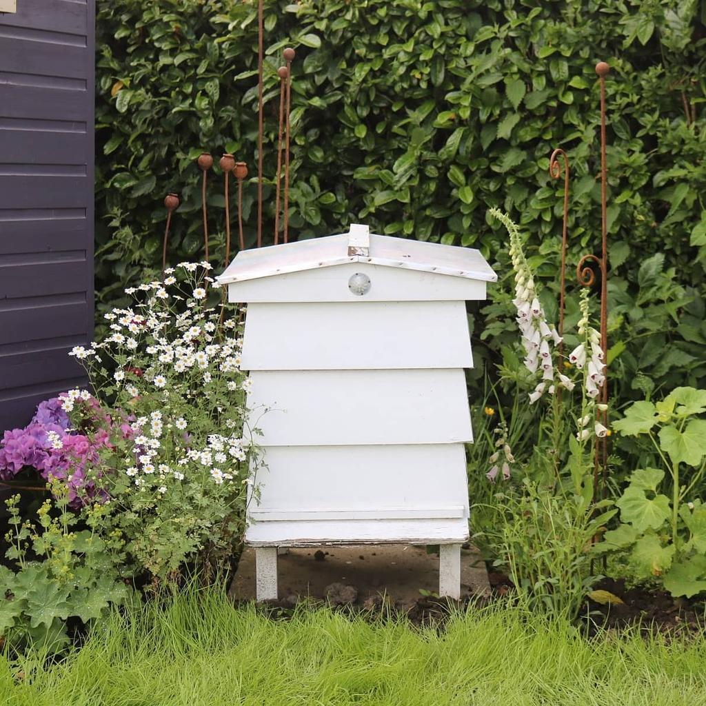 A little work in progress at the allotment but one of my favourite corners. So in love with that Feverfew 💚 Have a beautiful weekend everyone, what do you have planned? #allotment #feverfew #myhappyplace