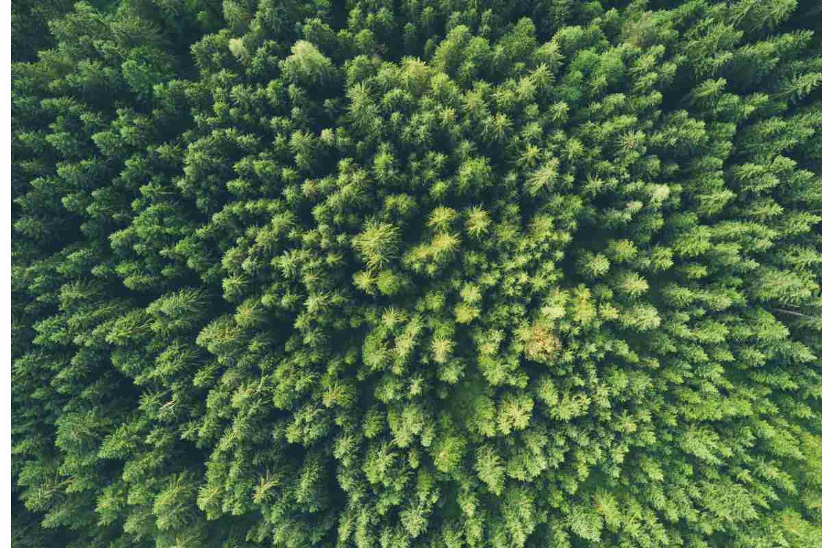 reDisain_'s tweet photo. Hoy día 5 de Junio de 2020 se celebra el Día Mundial del Medio Ambiente Humano, una iniciativa que lleva en marcha más de 48 años. Una iniciativa que lucha por el desarrollo sostenible del mundo ♻️

🔗https://t.co/TAf6FloX8k https://t.co/h8s2XaWnP9