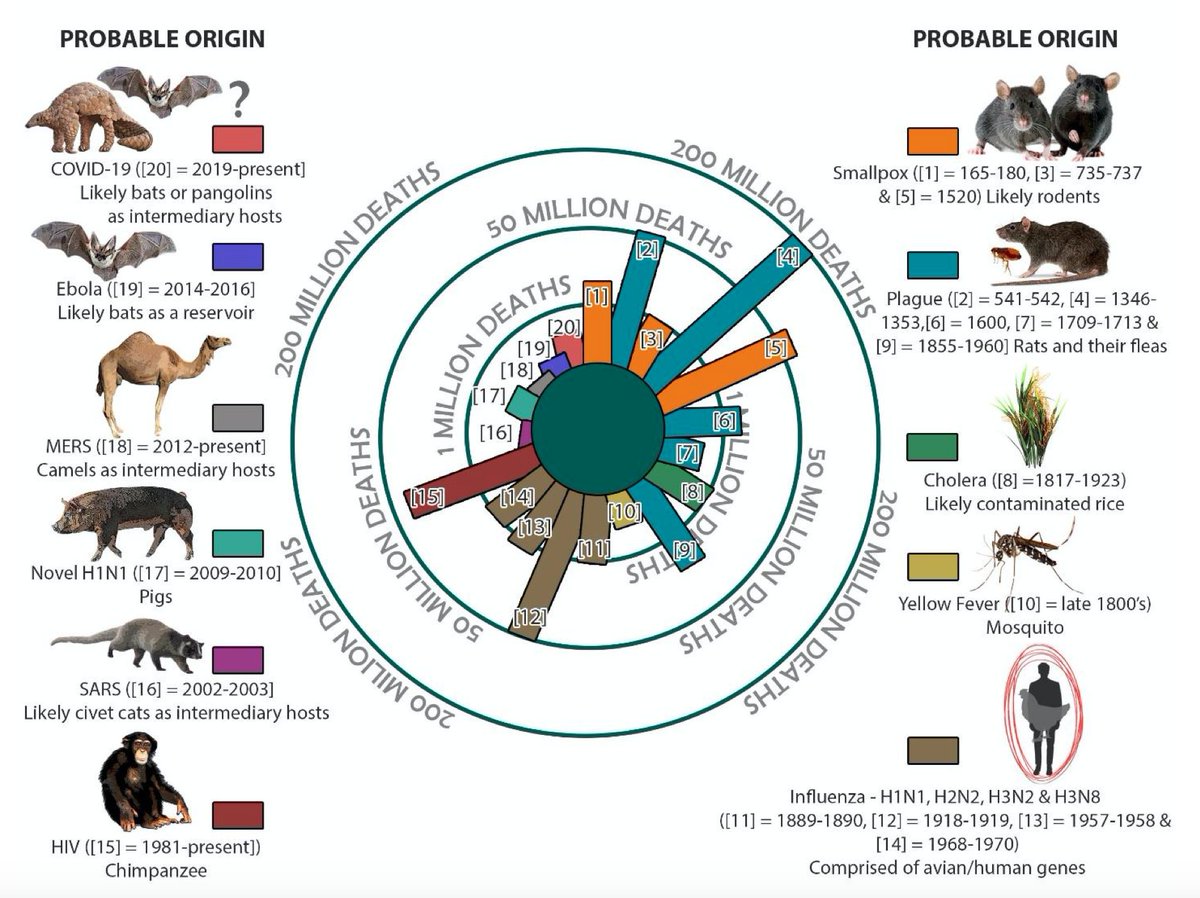 EricTopol's tweet photo. The zoonotic origins of pandemics and what to do about it
https://t.co/eROxUP5BfS @CellPressNews https://t.co/qfTSQNTZ2S