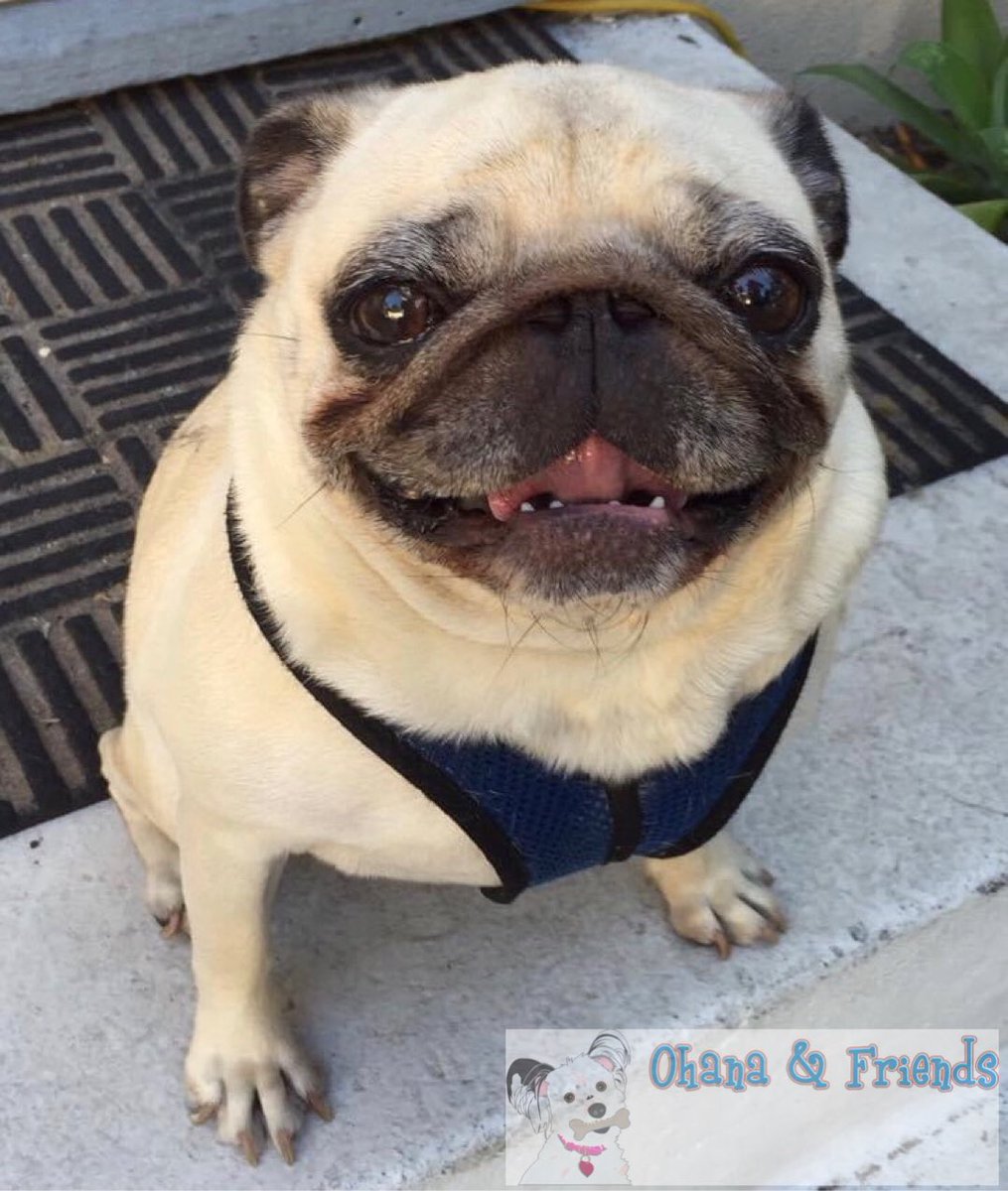 ohanaandfriends's tweet image. “We smile, we smile, we smile...” - Saphirra
#seasong #tearsforfears