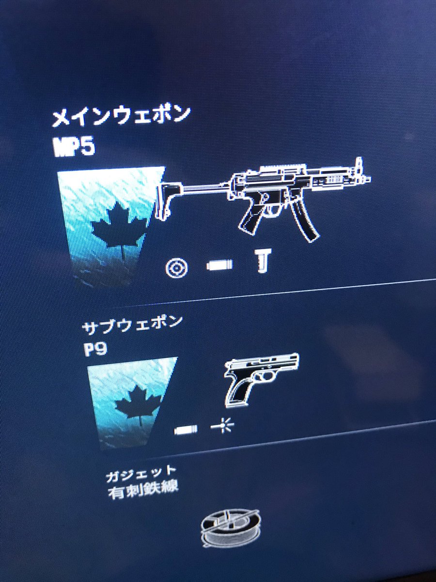 桜なる Skr ブラックアイス レインボーシックスシージ シージ