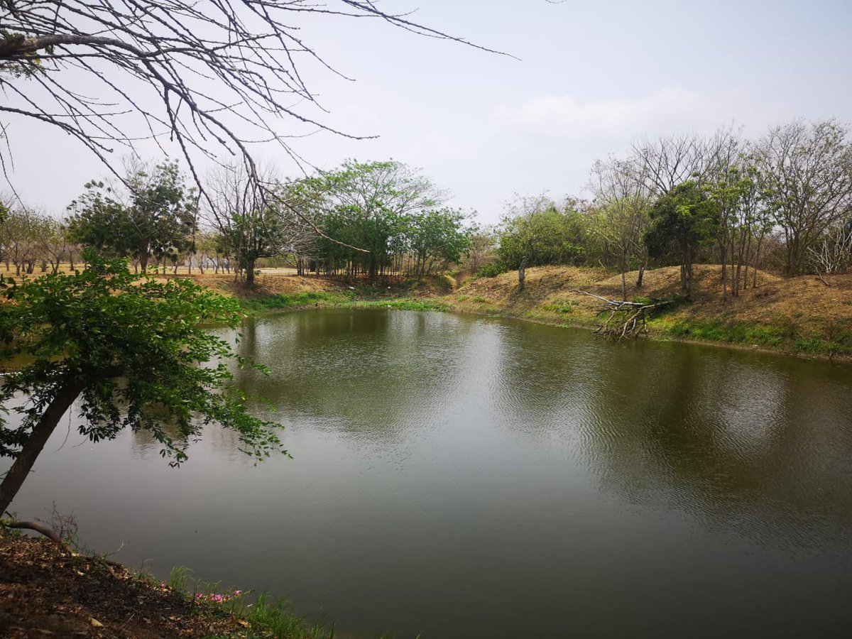 Hoy 5 de junio celebramos el #DíaMundialdelMedioAmbiente, una fecha establecida por la Asamblea General de Naciones Unidas, en 1972, para concientizar a la población sobre el cambio climático y la importancia de conservar nuestro entorno.