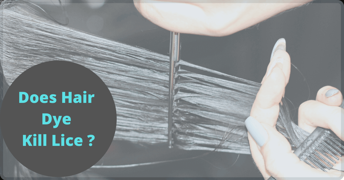 PestTrapping's tweet photo. Does Hair Dye Kill Lice ? :- Hair lies is an infestation that is caused by direct transfer of lies from one person’s head to an, they are tiny insects that cling on to your scalp and around the neck. Continue Reading...
https://t.co/mckJFVNYdU
#lice #PestControl https://t.co/cwd6AZ9WMc