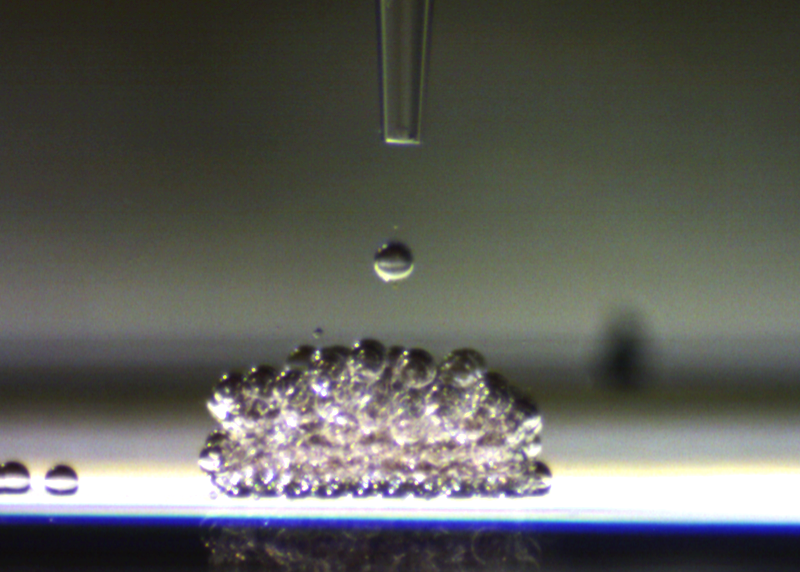 After 10 weeks, today we are #BackToLab and #3Dprinting #synthetictissues. 

Our most recent paper: nature.com/articles/s4146… @NatureComms @SpringerNature 

@bayley_lab @OxfordChemistry @OxChemRF @synbioCDT @ERC_Research #synbio #syntheticcells